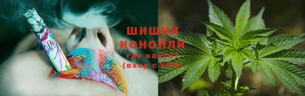 стафф Козловка