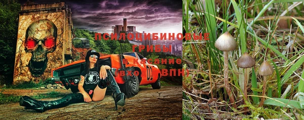 гашиш Кодинск