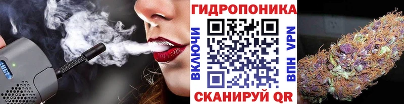 Купить где  Обь  Бошки Шишки VHQ 
